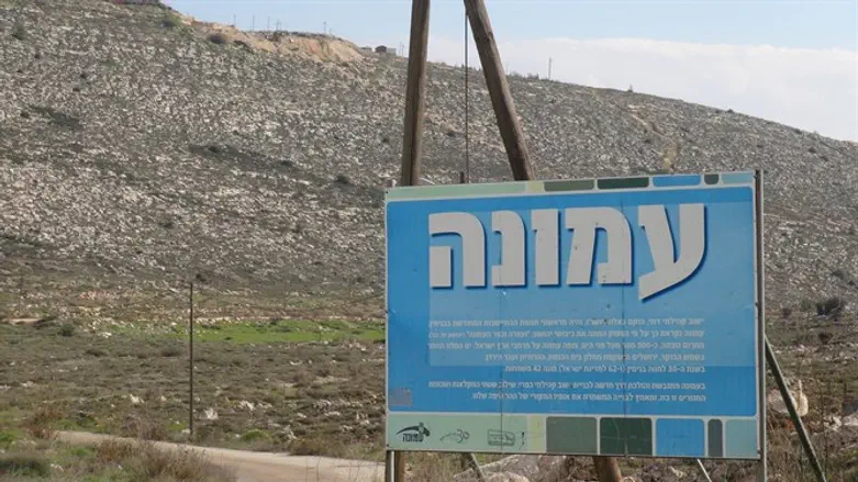 עמונה.