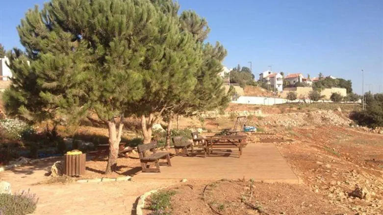 איכות חיים בצור הדסה