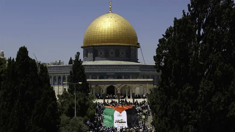 מי מאחורי הפעילות?