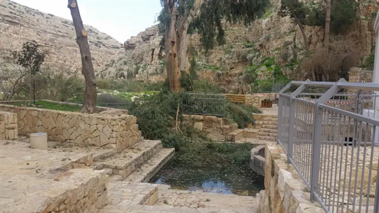 אילוסטרציה