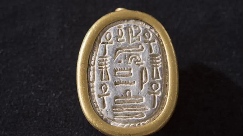 החרפושית שנמצאה