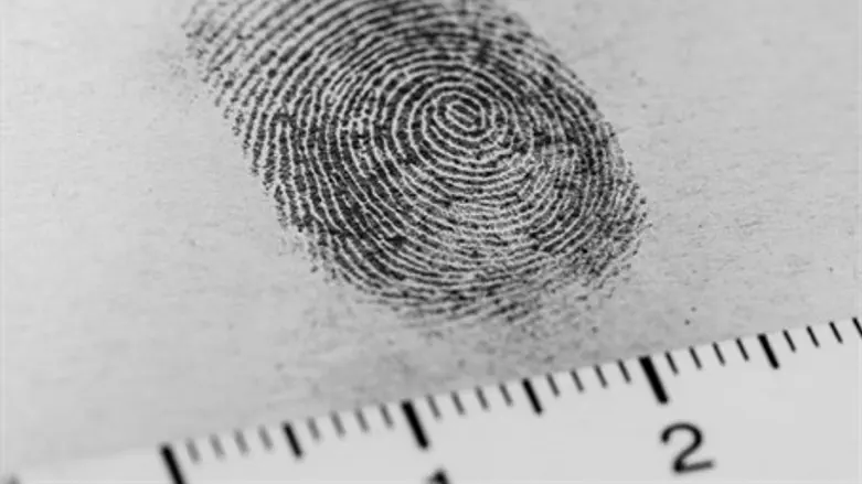 Evidence (illustration)