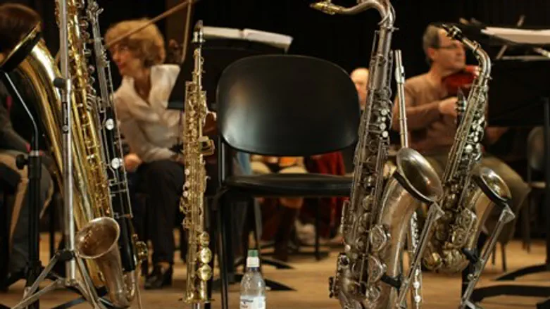 Peter Wertheimer's musical instruments