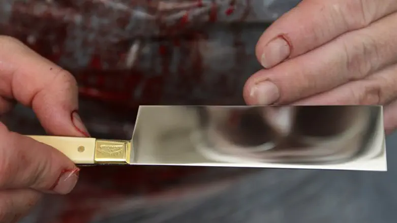 Knife used for kosher slaughter
