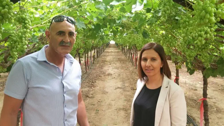 גמליאל ואלחייני