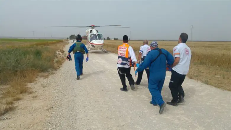 פינוי הצעיר שטבע