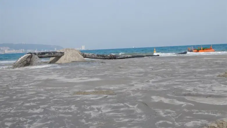 קטע חוף בו הוזן חול