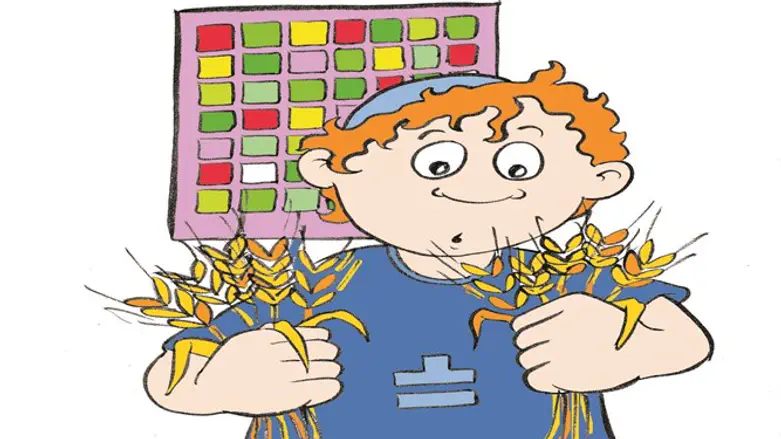 תרגילי עומר