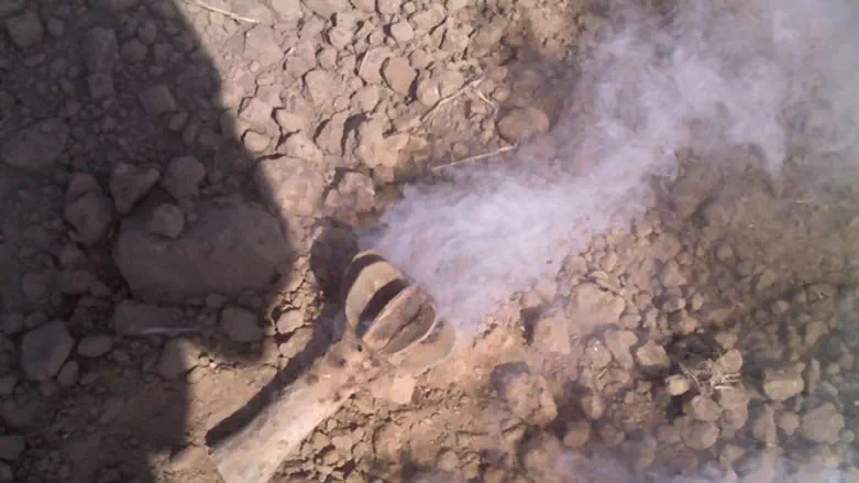 אילוסטרציה