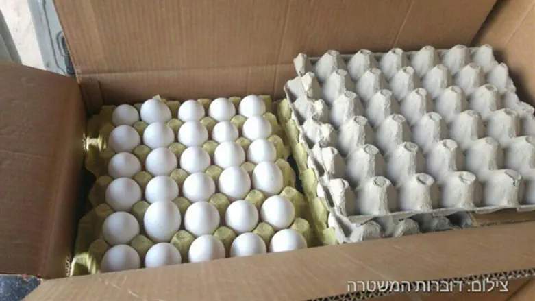 חלק מהביצים שנתפסו