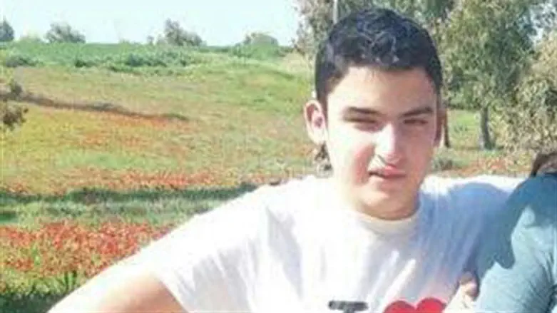 אורי הומינר