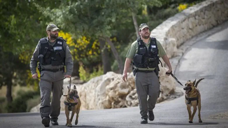 Police trackers hunt for Jerusalem stabbers