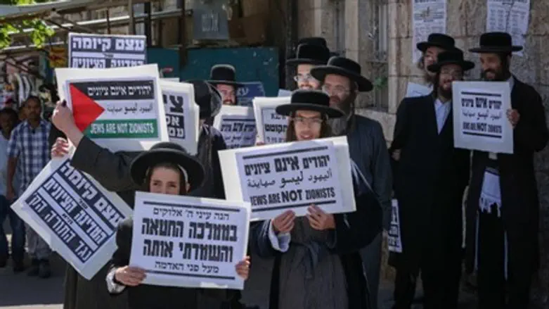 Anti-Zionists (illustration)