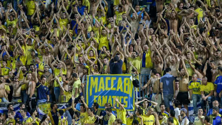 אוהדי מכבי ת"א. בספרד חוששים מעימותים