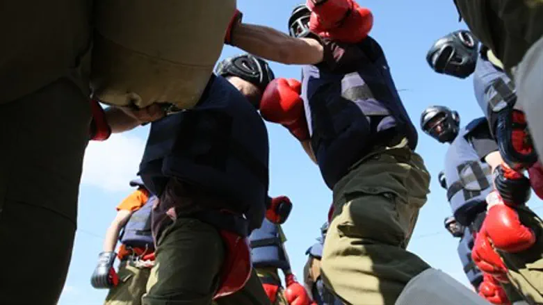 IDF trains Krav Maga (illustration)