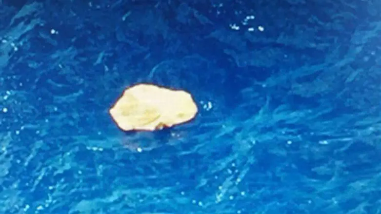 תמונות ראשונות