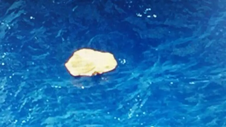 תמונות ראשונות