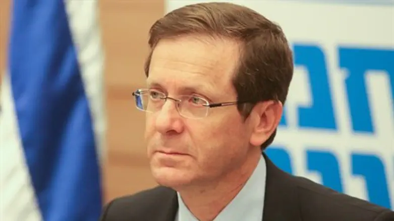 Ицхак Герцог