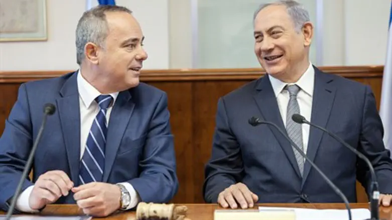 Binyamin Netanyahu and Yuval Steinitz at the Cabinet meeting