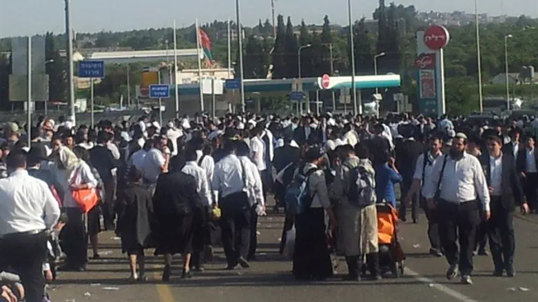 הציבור בדרכו למירון