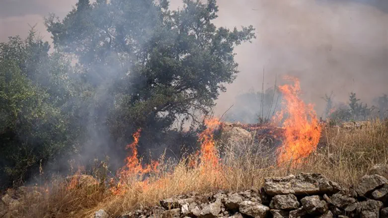 אילוסטרציה