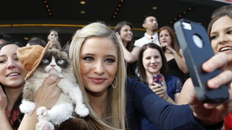 Selfie photo with Grumpy Cat (illustration)