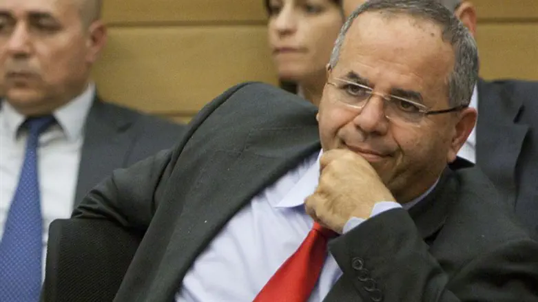 Ayoub Kara
