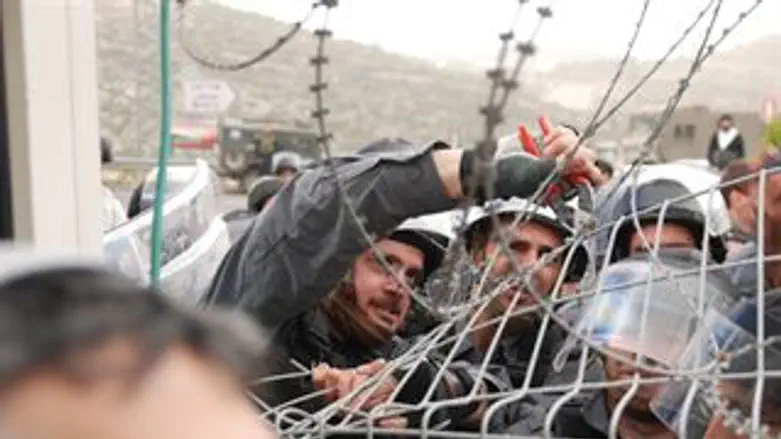 תמונות מדולב