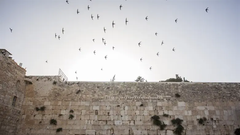 Jerusalem