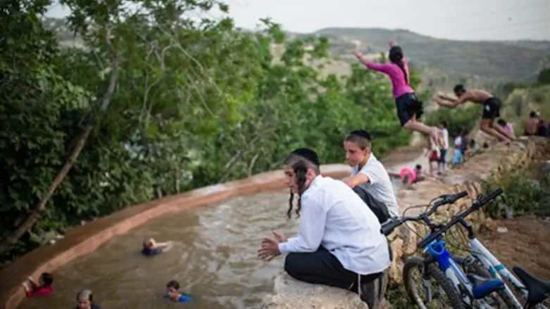 Enjoying the hot weather (illustration)