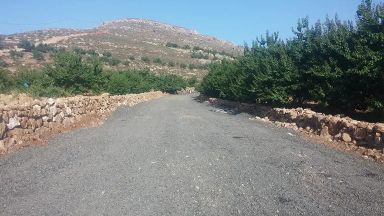 הדרך החדשה
