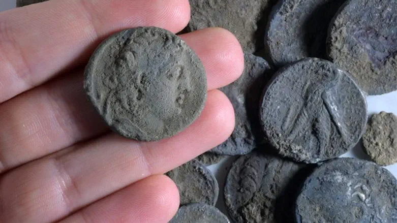 מטבע אנטיוכוס השביעי על רקע שאר המטבעות שנחשפו