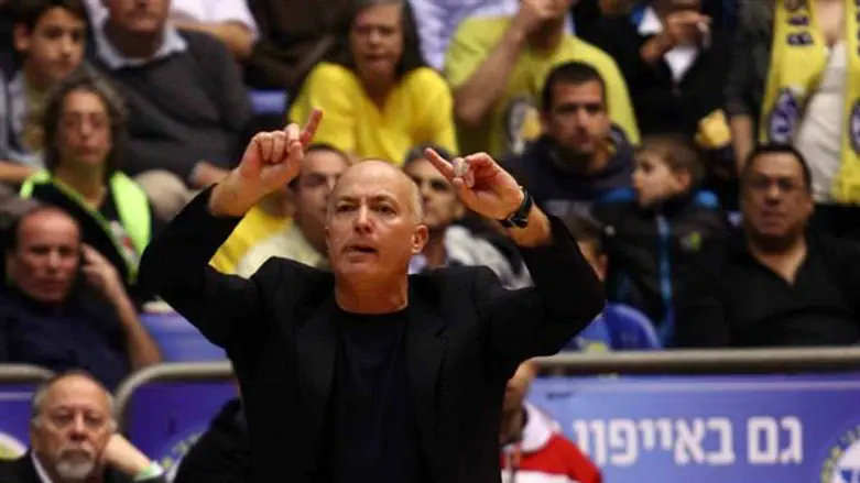 אדלשטיין. יאמן את המכבים?