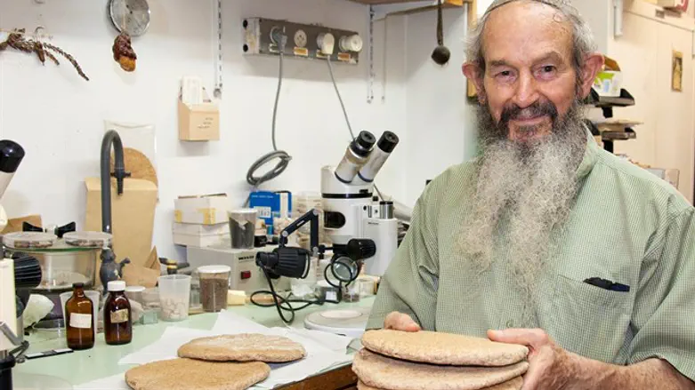 פרופ' מרדכי כסלו