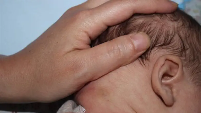 Место укуса змеи