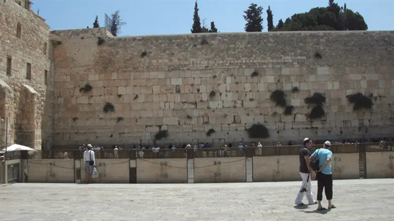 'תפילת נקמה'? הכותל המערבי