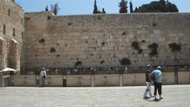 Kotel