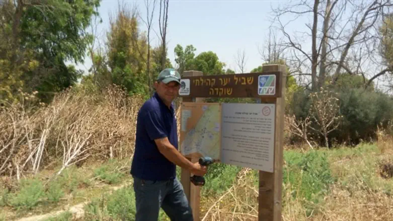 מחליפים שילוט ביער