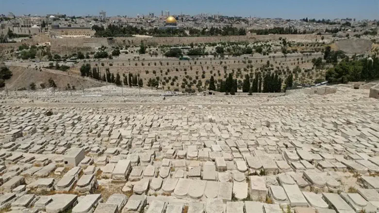הר הזיתים