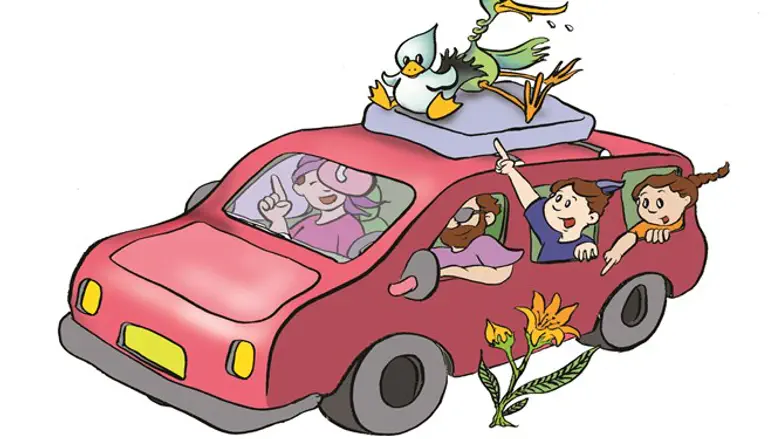 כמה פטנטים, בדוקים ומנוסים, להעסקת הטף בנסיעות ארוכות במכונית