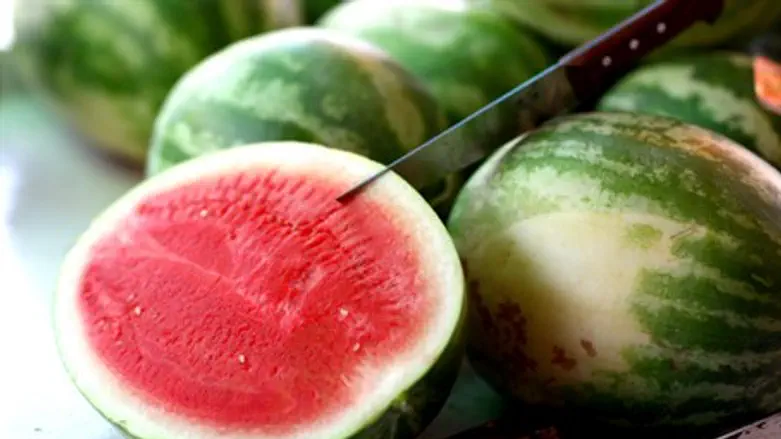Watermelons (illustration)