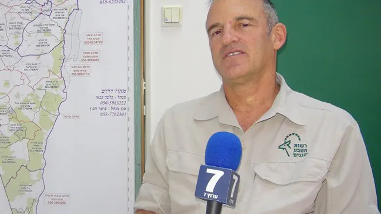 שאול גולדשטיין