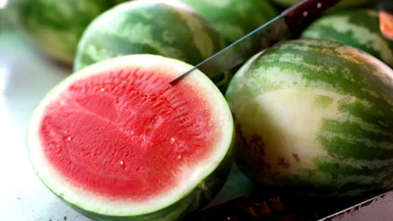 אבטיח. בעל סגולה רפואית.