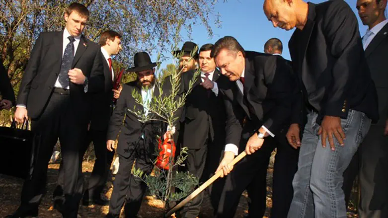נשיא אוקראינה 