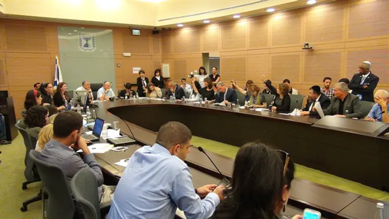 דנים בחוק. ועדת חוקה