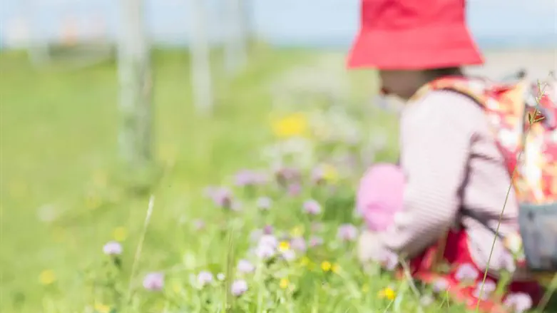 אין לאן לברוח