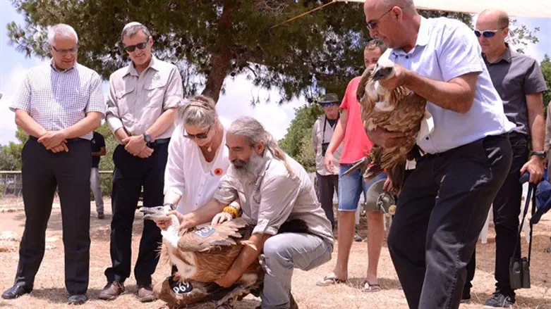 משחררת לאוויר
