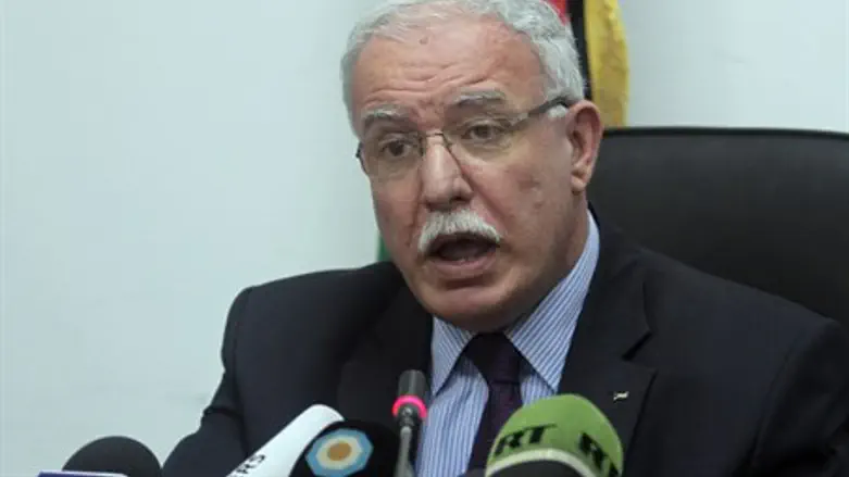 Riyad al-Maliki