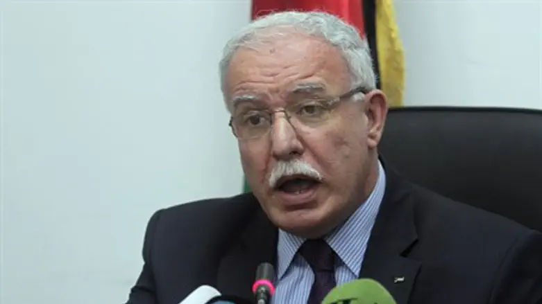 Riyad al-Maliki