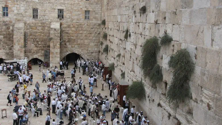 הכותל המערבי